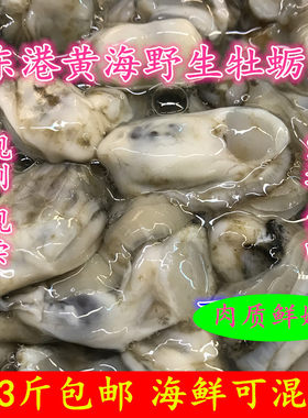 鲜活现剥生蚝肉海蛎子3斤包邮