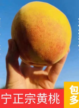 建宁黄桃锦绣黄桃建宁脆甜多汁