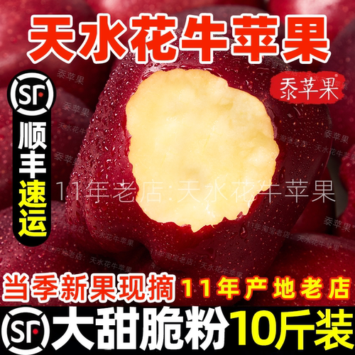 正宗甘肃天水花牛苹果蛇红果小孩老人粉脆面沙甜苹果新鲜水果顺丰