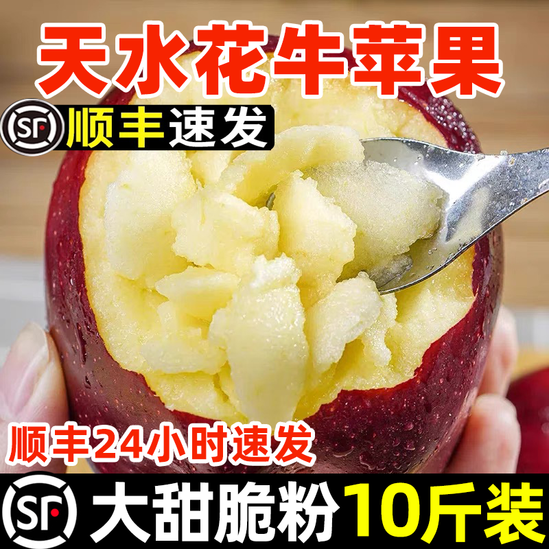 正宗甘肃天水花牛苹果蛇红果粉脆沙面甜平果小孩老人新鲜水果10斤