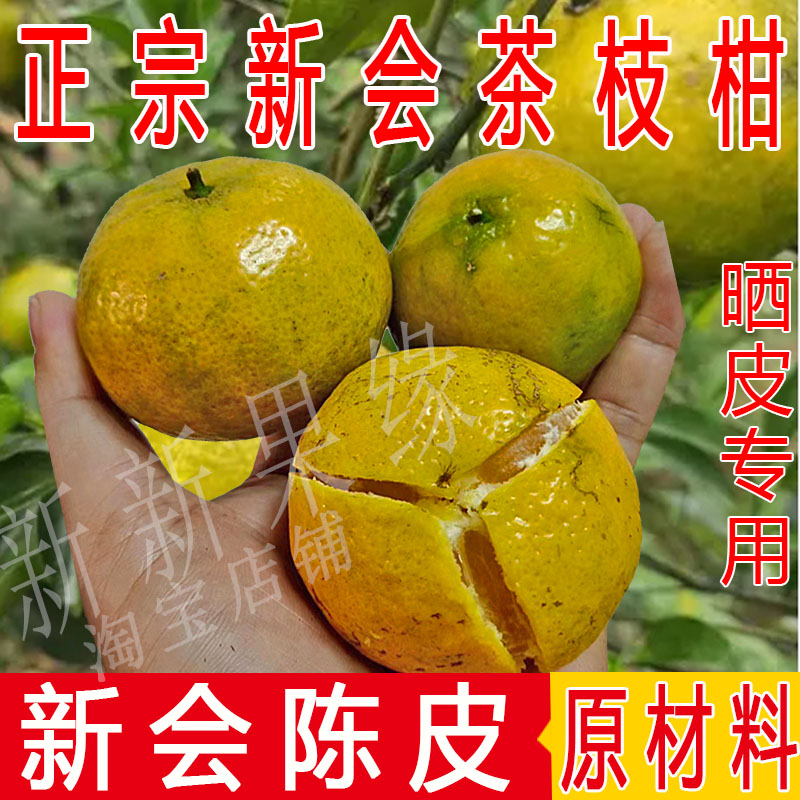 正宗新会柑鲜果小青柑大青柑二红柑大红柑新会茶枝柑陈皮柑原料