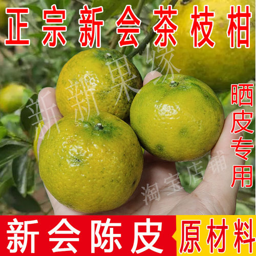 正宗新会陈皮柑鲜果茶枝柑小青柑大青柑新鲜果二红大红柑陈皮原料