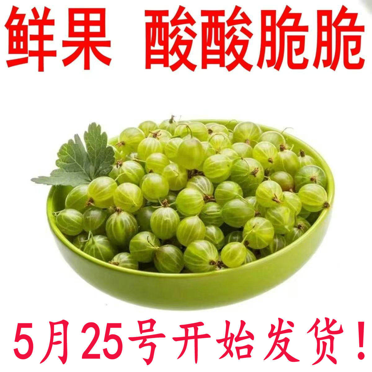 灯笼果新鲜醋栗野生浆果酸梅粒刺么果酸钉子刺梨鲜果东北当季水果