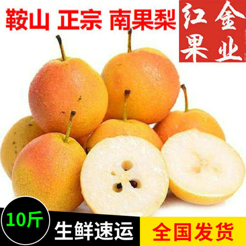 辽宁鞍山海城包邮东北特产南果梨
