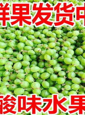 灯笼果醋栗酸子东北酸味水果
