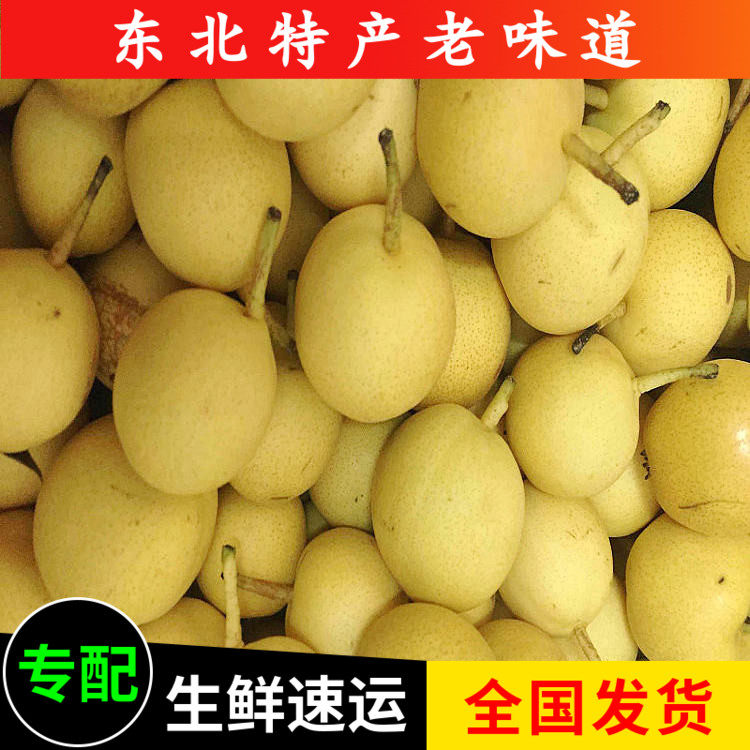 好吃东北特产包邮有机绿色香水梨