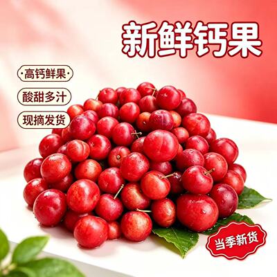 欧李辽宁产地直发梅子包邮钙果