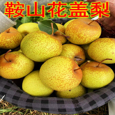 正宗东北特产斤装多省包邮软梨