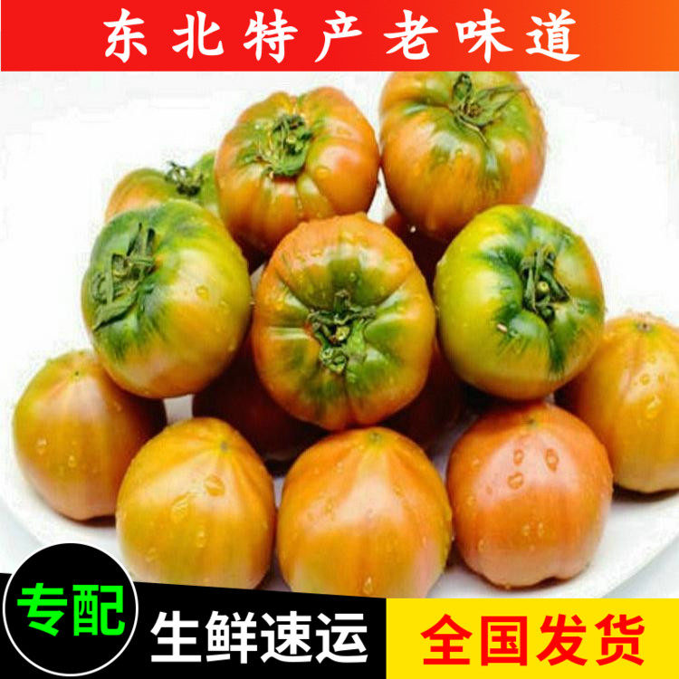 盘锦碱地铁皮草莓水果西红柿