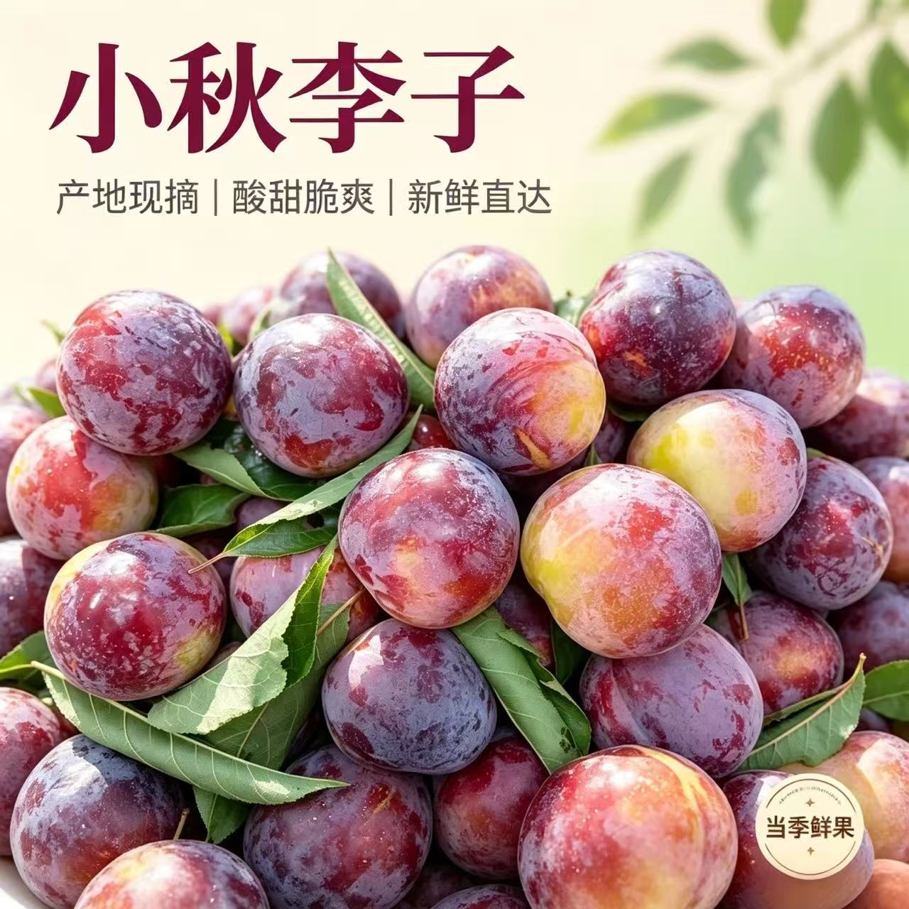 新鲜东北脱骨大红袍多省包邮李子