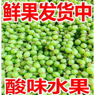 灯笼果新鲜醋栗野生浆果酸梅粒刺么果酸钉子刺梨鲜果东北当季水果