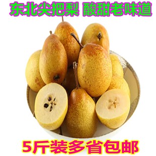 东北正宗尖把梨东北特产正宗老树尖把 尖拔秋子梨 歪把梨酸甜5斤