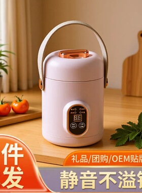跨境多功能电饭锅电炖锅迷你便捷电热杯办公室宿舍煮粥神器电煮锅