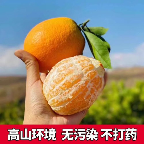 重庆脐橙纽荷尔橙子柑橘当季新鲜水果甜橙橙子赣伦晚秭南归产地