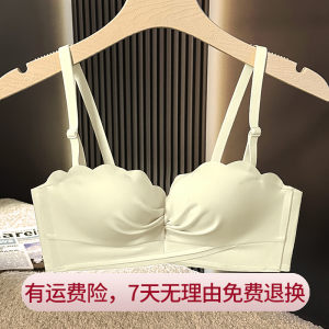 聚拢无钢圈聚拢上托收副乳