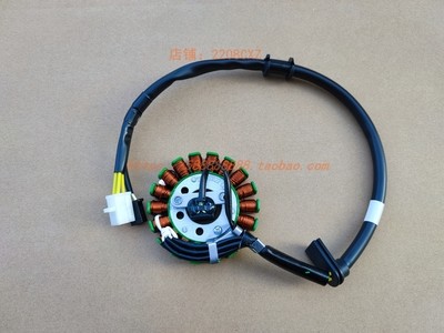 新大洲本田磁电点火线圈定子组合