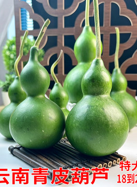 A级新鲜青皮玉感葫芦绿皮白玉葫芦 福禄呈祥吉祥书房装饰摆件送礼