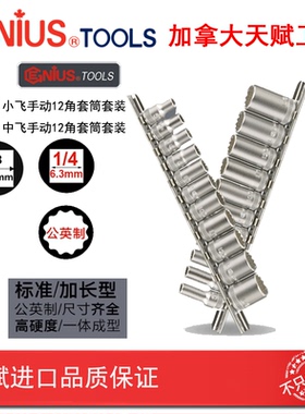 GENIUS天赋工具1/4