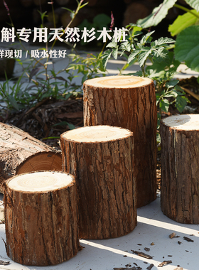 杉木桩石斛攀爬花池围栏装饰
