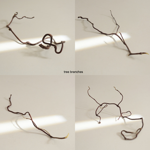 侘寂风天然干树枝拍照道具背景 干花装饰摆件枯木枝条树干龙枣枝