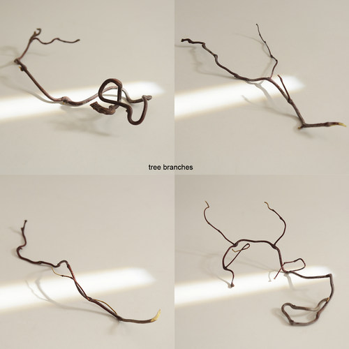 天然干树枝拍照道具装饰摆件