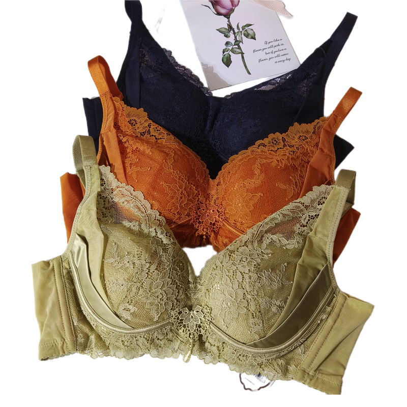 文胸奥丽侬蚕丝里聚拢蕾丝性感