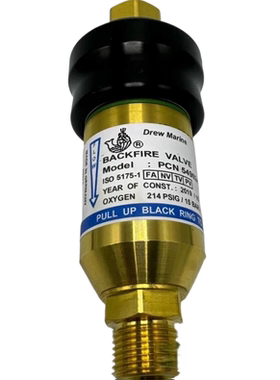 德鲁DREW 德鲁船用氧气乙炔回火阀 PCN549024