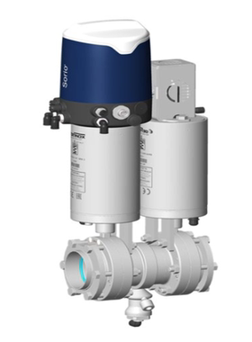 DPAX DE 双座防混蝶阀Definox