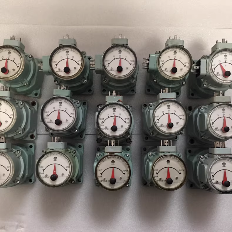 NPI45B20,NPI45B30指示器OVAL