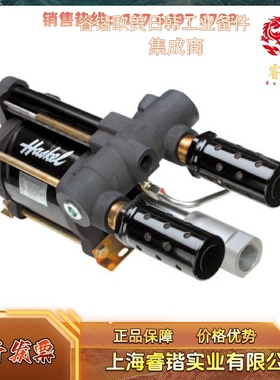 HASKEL GW,DGF,GSF,DGSF,DGSTV 空气驱动泵