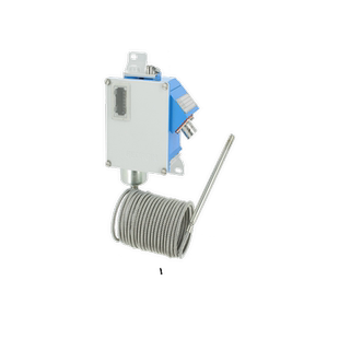 Georgin      H21/H22系列温控器