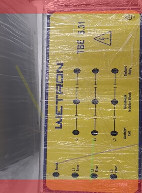 WETRON原装进口分段控制器 TBE5.31-V2-R4,