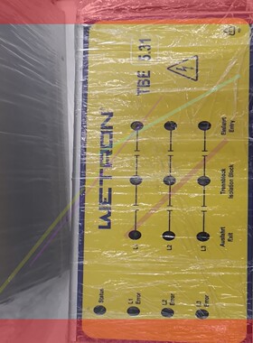 WETRON原装进口分段控制器 TBE5.31-V2-R4,议价!