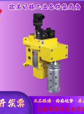 ROSS  DM1系列 DM1CDA54B31 C双阀