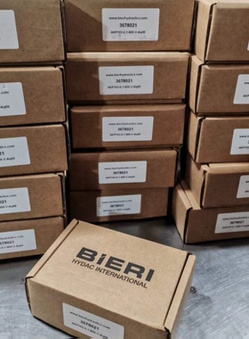 瑞士BIERI比利电磁阀AKP103-0.1-500-V-Aq00