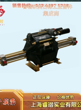 HASKEL哈斯克尔 D14SFD  空气驱动泵