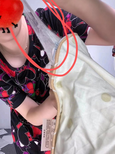 玲爽100%蚕丝被棉真丝