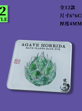【旷野胶囊】龙舌兰块根植物亚克力6*6cm冰箱贴厚度4mm潮玩手工品