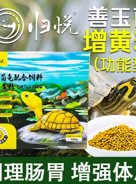 归悦善玉菌增黄黄泽头盔箱龟黄缘