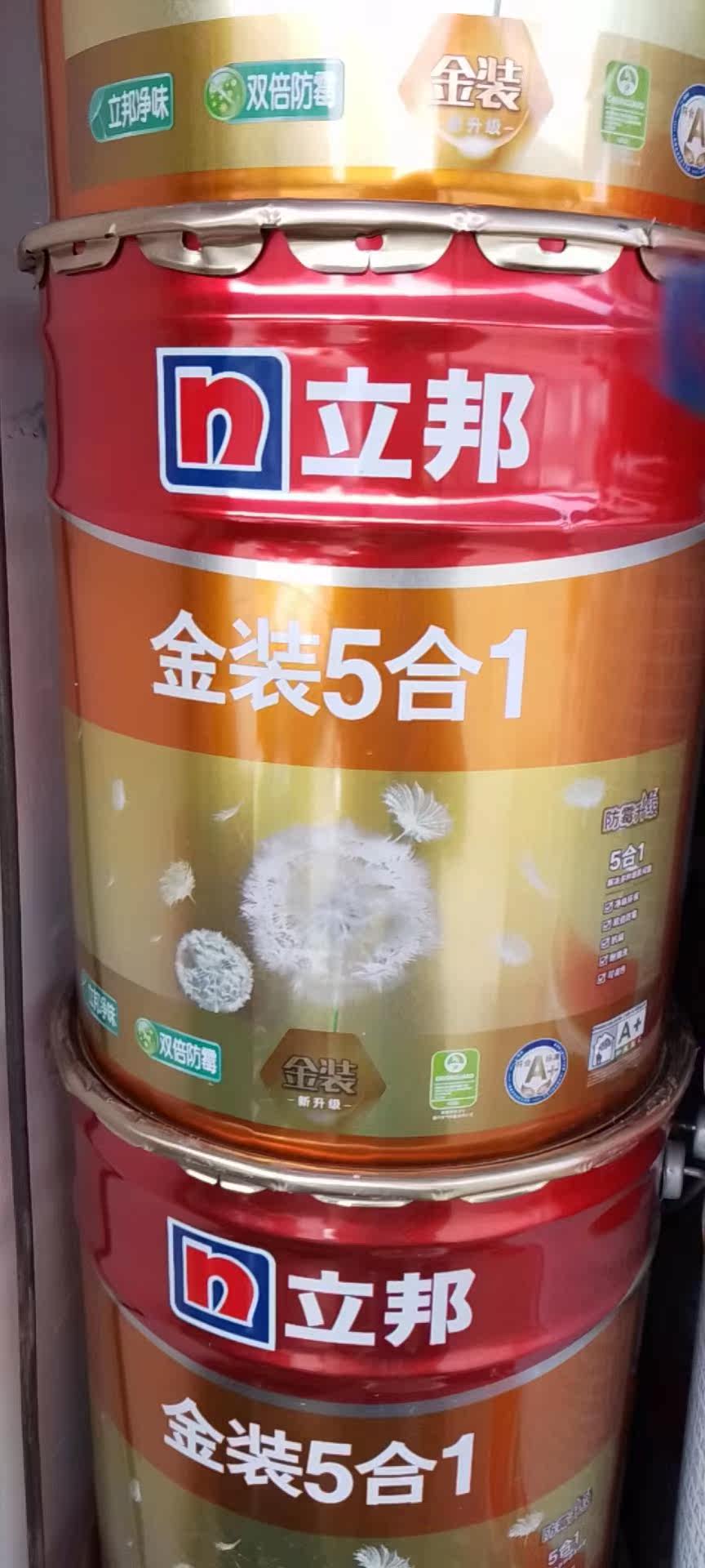 立邦墙面乳胶漆五合一精装净味竹内墙乳胶漆