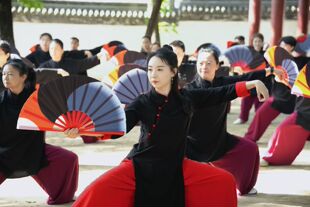 《扶摇》原版正品太极灵儿扶摇扇塑骨功夫响扇女式红色扇子武术扇