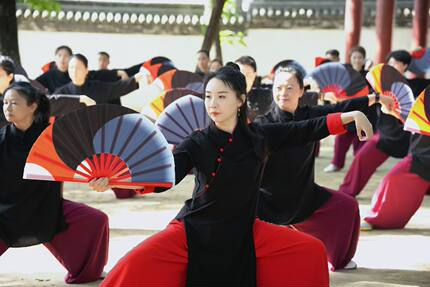 《扶摇》原版正品太极灵儿扶摇扇塑骨功夫响扇女式红色扇子武术扇