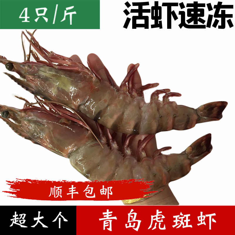 虎斑虾鲜活冷冻老虎虾超大斑节虾九节虾海鲜大虾虎虾4只500g