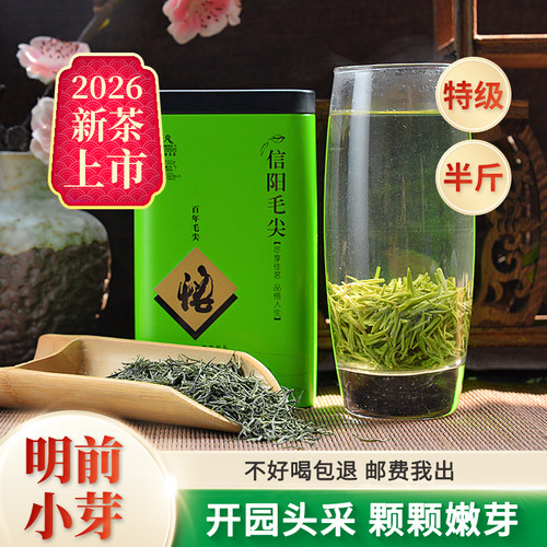 2026信阳毛尖明前嫩芽手工茶250g