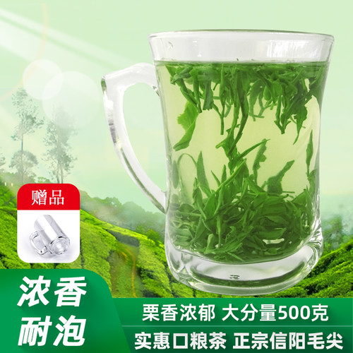 信阳毛尖茶叶2026高山云雾绿茶雨前浓香口粮春茶自产自销500g散装