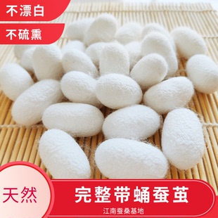 农家天然蚕茧烘干完整带蚕蛹桑蚕茧壳入药泡水喝抽丝洗脸手工一斤