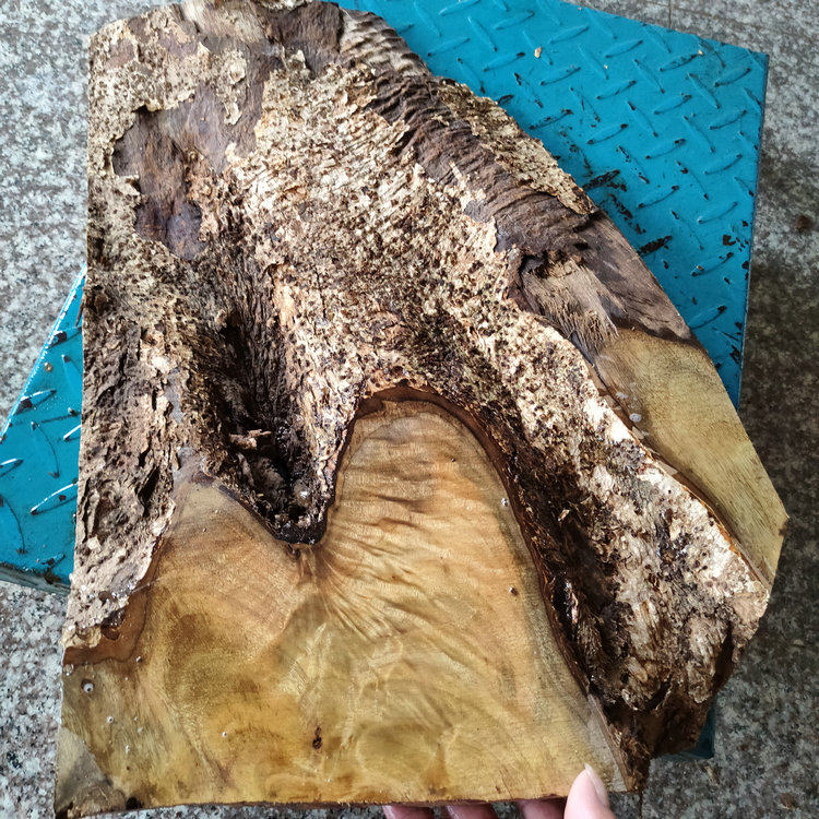 金丝楠小叶桢楠木随形根雕刻diy弹弓料底座干泡台茶桌水波花纹料