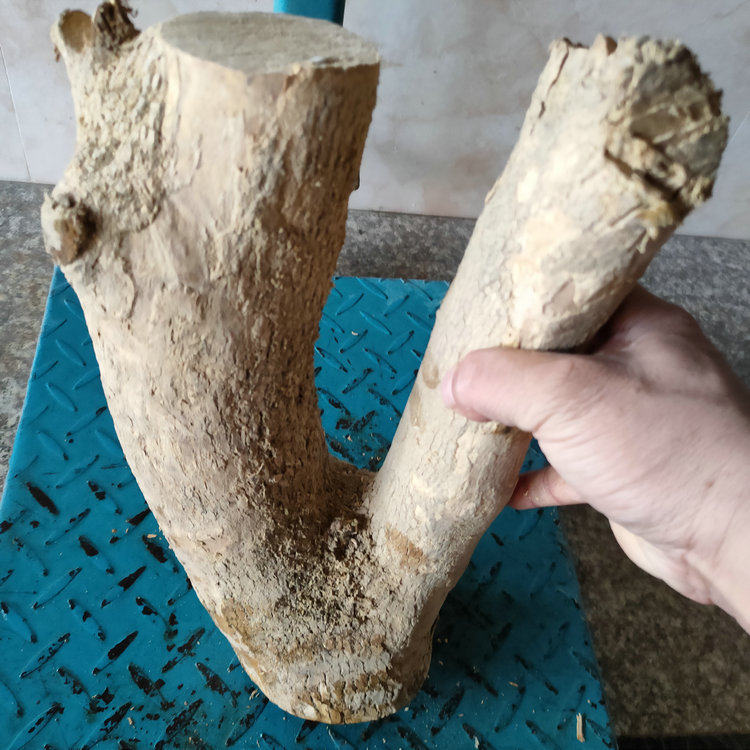 正宗湖北小叶黄杨木雕刻料红木摆件料随形料工艺料树头根料笔筒料