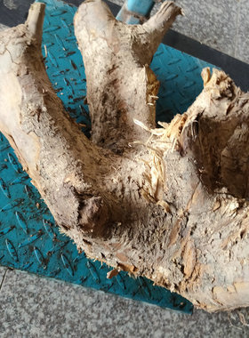 JS2金丝楠小叶桢楠木水波花纹天然随形木根雕刻料diy底座料摆件料