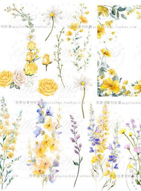 水彩黄色玫瑰植物花枝花朵花卉婚礼卡片海报装饰元素png免抠素材
